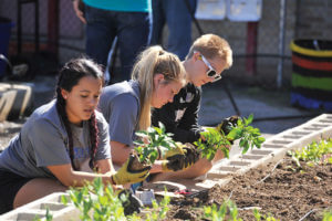 Students planting plants