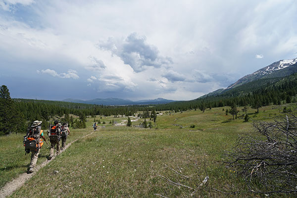 Hiking trail at Yellowstone National Park.