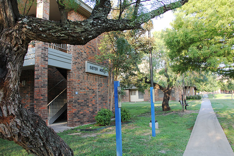 Exterior of Adele Hall, a brick building surrounded by mature trees